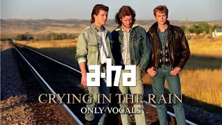a-ha - Crying in the Rain (Only Vocals)
