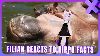 Filian Reacts to True Facts: Hippopotamus