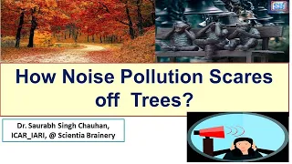 How Noise Pollution Scares Off Trees (Impact of Noise pollution on Plants, animals and humans)