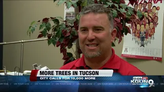 Tucson leaders want to plant 10,000 more trees