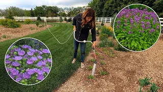 Planting a Bunch of Perennials & a Few Dahlias! 😁💜🌿 // Garden Answer