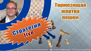 Тормозящая жертва пешки. Игорь Немцев. Обучение шахматам