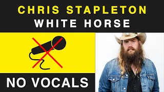 Chris Stapleton - White Horse (Instrumental / No Vocals Backing Track)