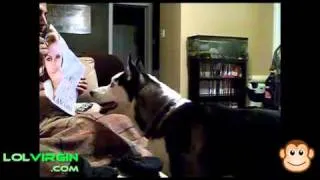 Dog afraid of Julia Roberts - Dog Fail