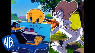 Looney Tunes | Summer Holiday | Classic Cartoon Compilation | WB Kids