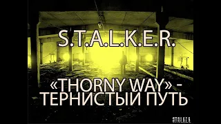 S.T.A.L.K.E.R.  Тернистый путь: Аномальное растение/ Проводник #3