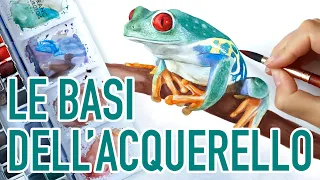 LE BASI DELL'ACQUERELLO 🖌 Come imparare a dipingere con i colori acquarelli | Disegnare una rana 🐸