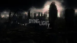 THESE ZOMBIES ARE SOMETHING ELSE!!!! (DYING LIGHT)