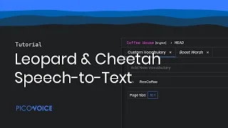 Leopard & Cheetah Speech-to-Text - Picovoice Console Tutorial