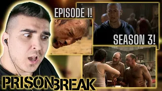 SONA?? A NEW PRISON??? PRISON BREAK SEASON 3 EPISODE 1 REACTION! ( Orientación! )