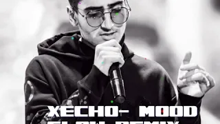 Xcho - mood ( slow remix )