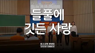 들풀에 깃든 사랑_대구교회 청년여성중창 집회특송(20170621)