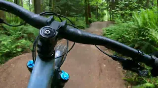 Duthie Hill Mountain Bike Park: Luna Air Zone (Left Path)