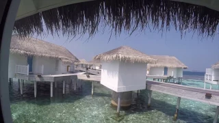 Centara Grand Island Resort & Spa Maldives Deluxe Water Villa
