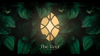 The Reef by Noval Properties - Un tesoro en las terrenas