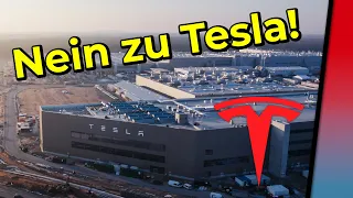 Einwohner von Grünheide sprechen sich gegen Teslas Erweiterungspläne der Giga Berlin Brandenburg aus