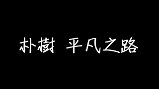 朴樹 平凡之路 歌詞