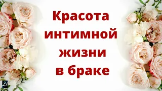 "Красота интимной жизни в браке"   П.Деркач   Беседы для семейных МСЦ ЕХБ