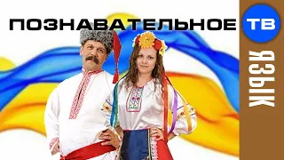 Как сделали украинские фамилии (Артём Войтенков)