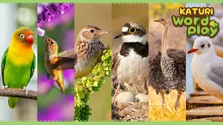 * The Bird * | Katuri Word Play | Learn Animals | Animals for kids to learn
