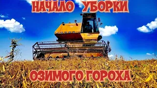 Настройка комбайна Нива СК 5 на уборку гороха - не получается косить озимый горох ''НС МОРОЗ''