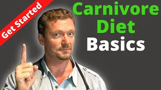 CARNIVORE Diet (Beginner's Guide) All You Need to Get Started - 2023