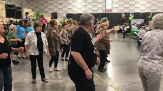 Still Struttin + audience Senior Fest 2019 - Electric Slide Dance