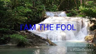 I'm the fool - Mark Knopfler - Subtítulos inglés y español