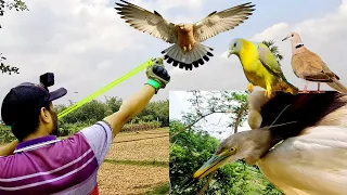 How to Aim Sling Shot / SlingShot Birds Hunting Catching Best Ancient way to shoot birds Videos