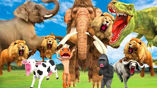 10 Giant Lion Vs 10 Woolly Mammoth Fight Dinosaur Chase Baby Elephant Cow Buffalo Saved by Elephant