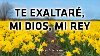 Te Exaltaré, Mi Dios, Mi Rey - Himnos Preciosos Originales Que Animan El Alma Y El