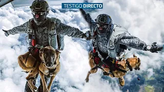 Perros paracaidistas se lanzan desde un helicóptero a 3500 metros para salvar vidas -Testigo Directo