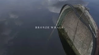 Bronze Whale - Say It (BAILE Remix) Unofficial Video