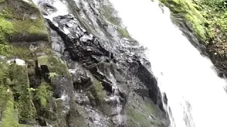 Bigfoot Trail Cam Footage.