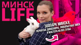 ЗООПАРК МИНСКА: пернатые динозавры, любопытные змеи и мастера на все зубы | Минск LIFE