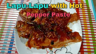 Lapu Lapu with Hot Pepper Paste /Lapu-Lapu Recipe