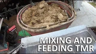 Mixing feed and feeding total mixed ration (TMR) for dairy cows