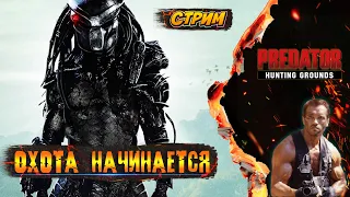 PREDATOR: HUNTING GROUNDS | НАЧИНАЕМ ВЫЖИВАНИЕ | ОТРЯД ИЛИ ХИЩНИК?!