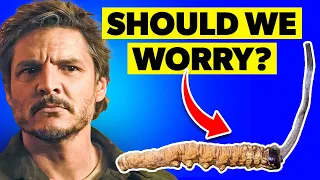 The Terrifying Truth Behind Cordyceps Fungus