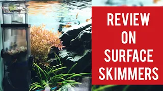 Review on Surface Skimmers - தமிழ் & Subtitle | Can I use in Marine Tank?