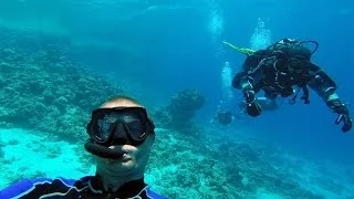 Dive in Dahab and do not die  (Нырнуть в Дахабе...)