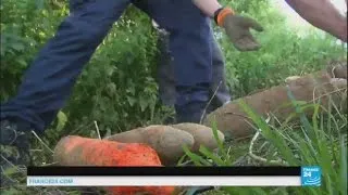 France : le déminage continue sur les champs de bataille de la Première guerre mondiale