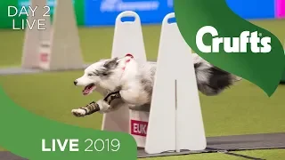 Day 2 LIVE | Crufts 2019