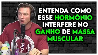 QUAL HORMÔNIO É MAIS ANABOLICO, TESTOSTERONA OU INSULINA? - Paulo Muzy, Cariani Ironberg Podcast