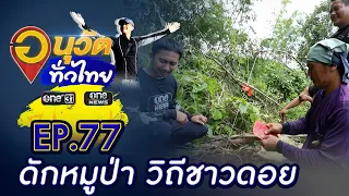 ดักหมูป่า วิถีชาวดอย อ.แม่อาย จ.เชียงใหม่ | อนุวัตทั่วไทย | EP 77 | ข่าวช่องวัน | one31