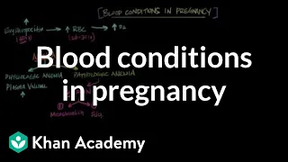 Blood conditions in pregnancy | Reproductive system physiology | NCLEX-RN | Khan Academy