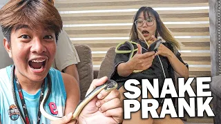 SNAKE PRANK SA BG HOUSE | NAGULAT! | LAMINZU