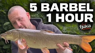 Barbel fishing tricks with a NEW BAIT