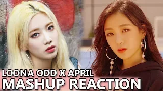 APRIL x LOONA/ODD EYE CIRCLE - Oh! my mistake X Girl Front | MASHUP REACTION