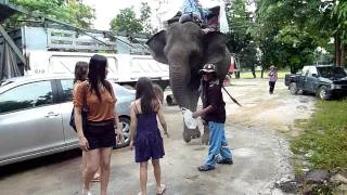 An elephant happened to come by the service station in Nakhon Sawan Thailand